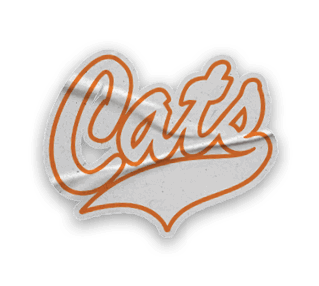 A collection of stickers with the word Cats on them. AI generated content