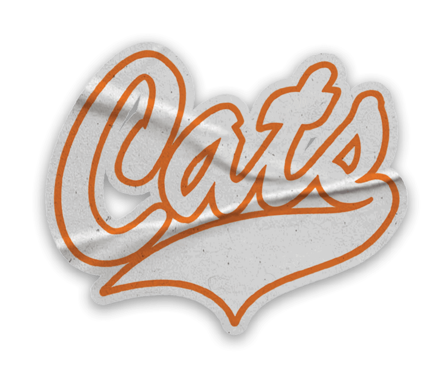 A collection of stickers with the word Cats on them. AI generated content