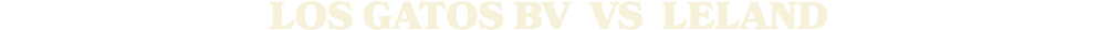 LOS GATOS BV vs Leland