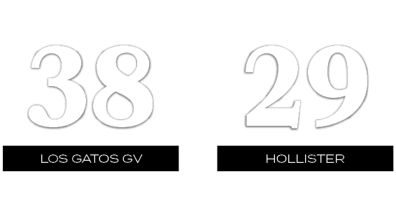 29,38,Hollister,LOS GATOS gV