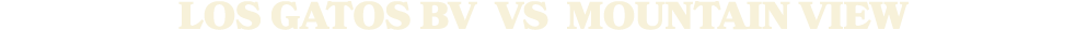 LOS GATOS BV vs Mountain View