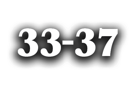 33 37