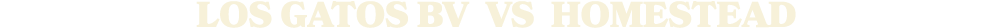 LOS GATOS BV vs Homestead