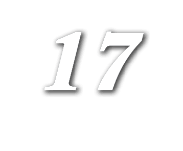 17,REBOUND