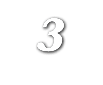 3,STEAL