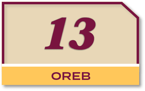 13,ORE
