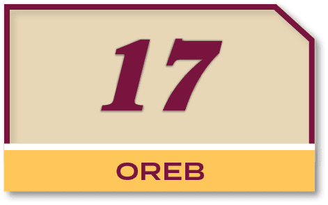17,ORE