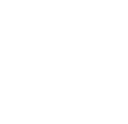 81