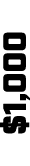 $1,000