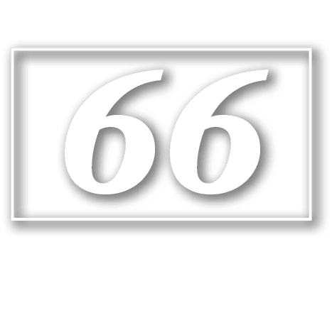 66