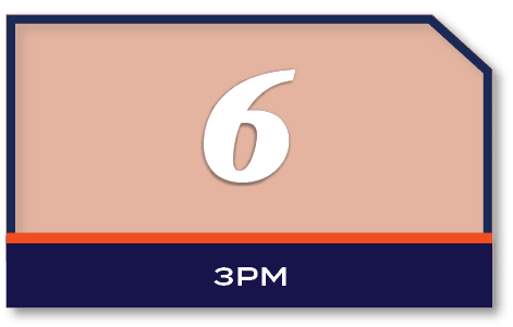 6,3P