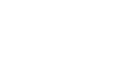 FR DHS Yellow Jackets