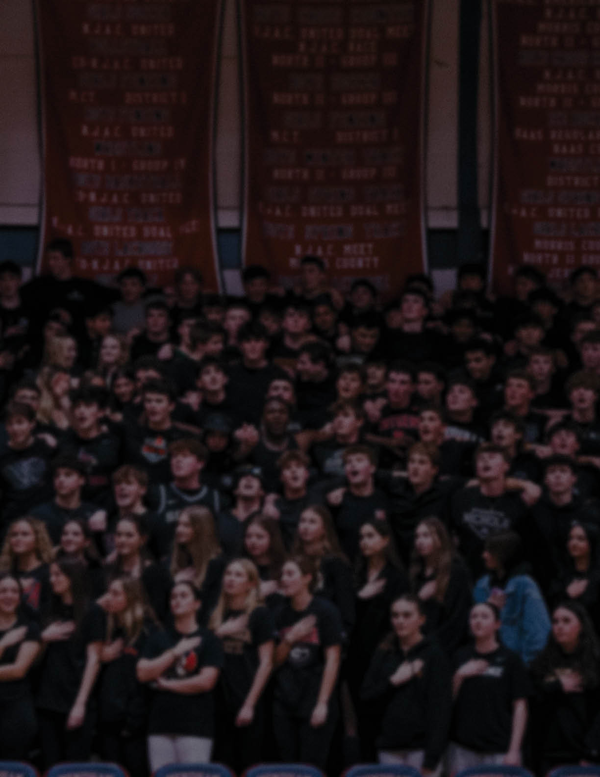 A large group of people wearing black shirts are standing in a stadium. AI generated content