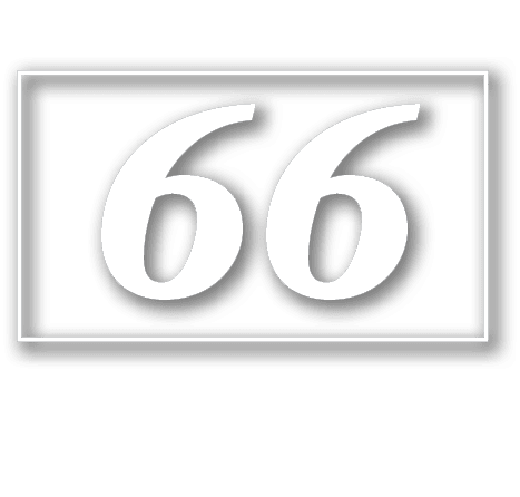 66