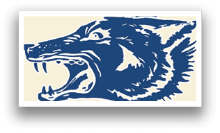 A blue and white wolf with its mouth open. AI generated content