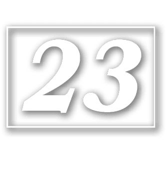 23