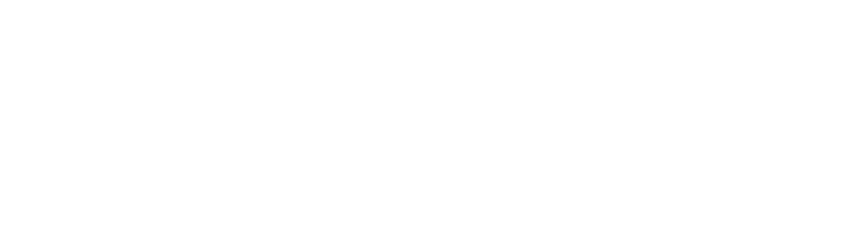 ricard ferrer guy #21 SENIOR