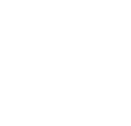 91