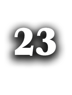 23