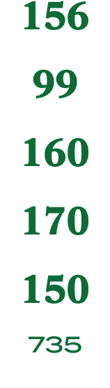156 99 160 170 150 735