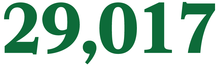 29,017