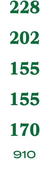 228 202 155 155 170 910