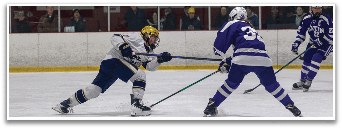 A hockey game is taking place with a player in a blue uniform holding a stick. AI generated content