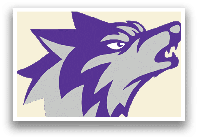 A wolf head with a purple and gray color scheme. AI generated content