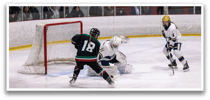 A hockey game is taking place with a player in a green and red jersey about to score a goal. AI generated content