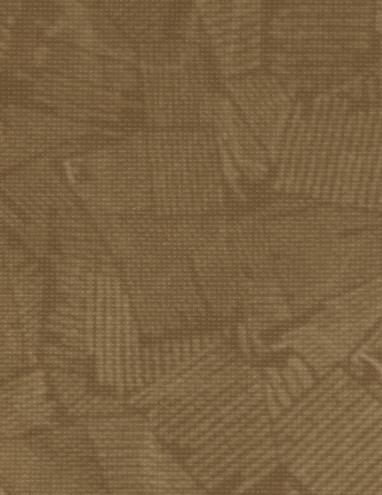 [Alt text was not generated.]