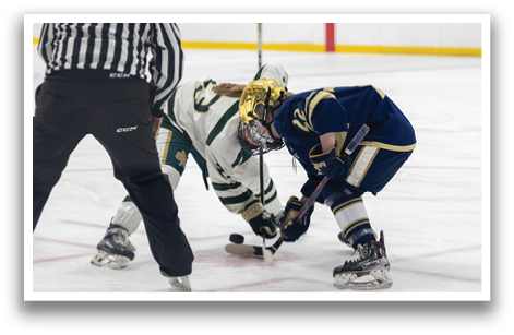 Two female hockey players are fighting for control of the puck. AI generated content