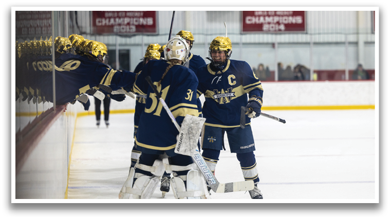 A group of hockey players celebrating on the ice. AI generated content
