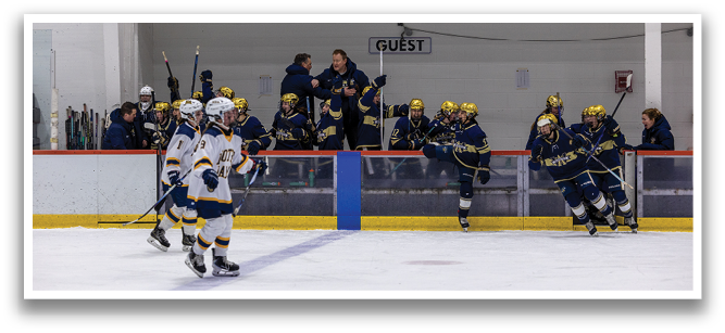 A group of hockey players are on the ice, some are holding their sticks up in the air. AI generated content