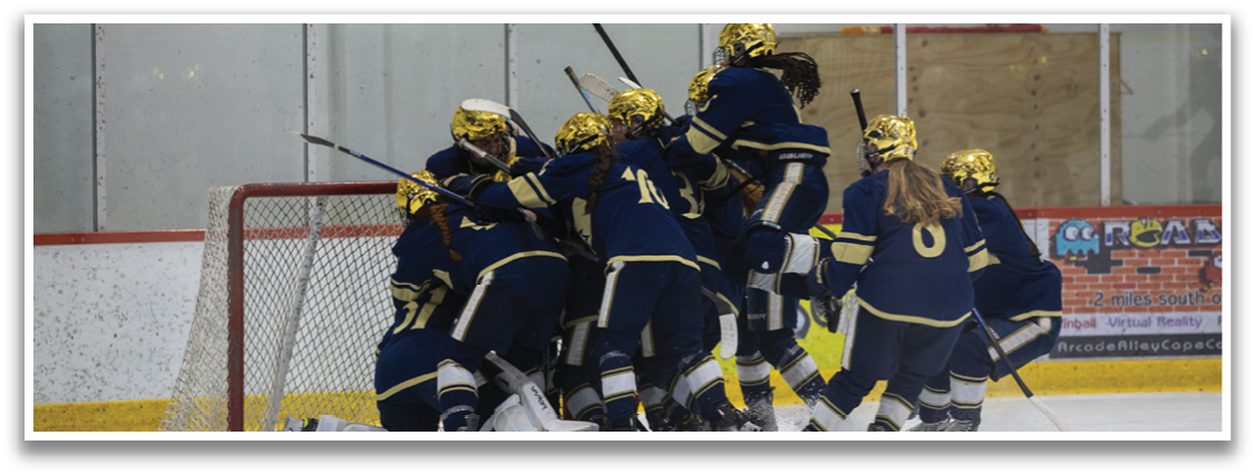 A group of hockey players celebrating a goal. AI generated content