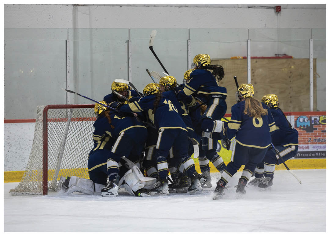 A group of hockey players celebrating a goal. AI generated content