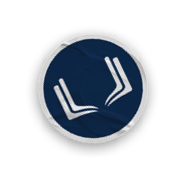 A collection of logos for the Boston Bishops. AI generated content