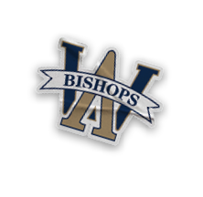 A collection of logos and symbols for the Boston Bishops. AI generated content