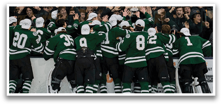 A group of hockey players celebrating a victory on the ice. AI generated content