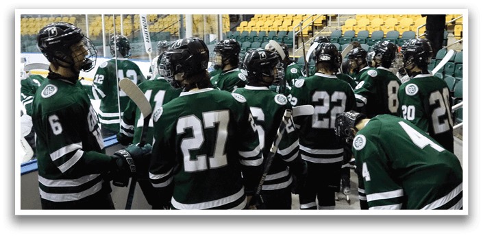 A group of hockey players wearing green uniforms are standing on the ice. AI generated content
