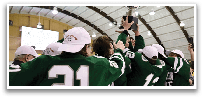 A group of hockey players celebrating with their trophy. AI generated content