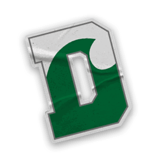 A collection of sports-related items, including a hockey stick, a jersey, and a green and white sign. AI generated content