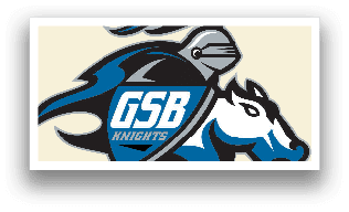 A logo for the Knights sports team. AI generated content