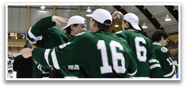 A group of hockey players celebrating a win. AI generated content