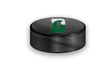 A collection of sports-related items, including a hockey stick, a jersey, and a green and white sign. AI generated content