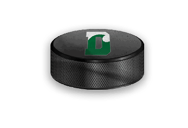 A collection of sports-related items, including a hockey stick, a jersey, and a green and white sign. AI generated content