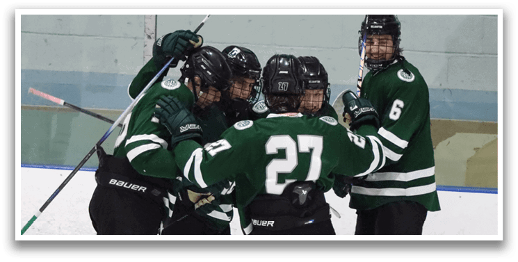 A group of hockey players celebrating on the ice. AI generated content