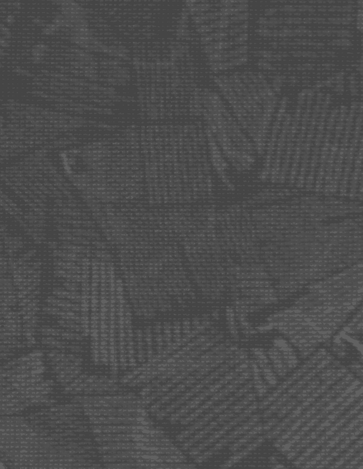 A black and white image of a patterned floor. AI generated content