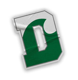 A collection of sports-related items, including a hockey stick, a jersey, and a green and white sign. AI generated content