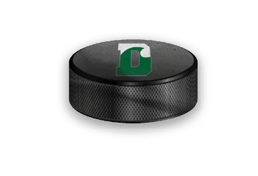 A collection of sports-related items, including a hockey stick, a jersey, and a green and white sign. AI generated content