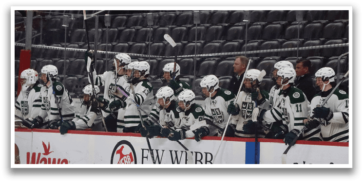 Hockey players in white uniforms are standing on the ice, holding their hockey sticks. AI generated content